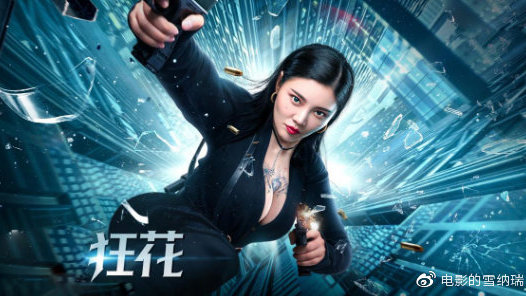 芬兰驾驶证作假